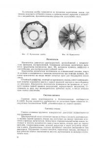 Сканирование документов А4 и А3 в Спб, скан фото и книг PDF